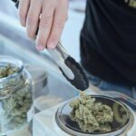 Cannabis And The Future Of Hospitality
