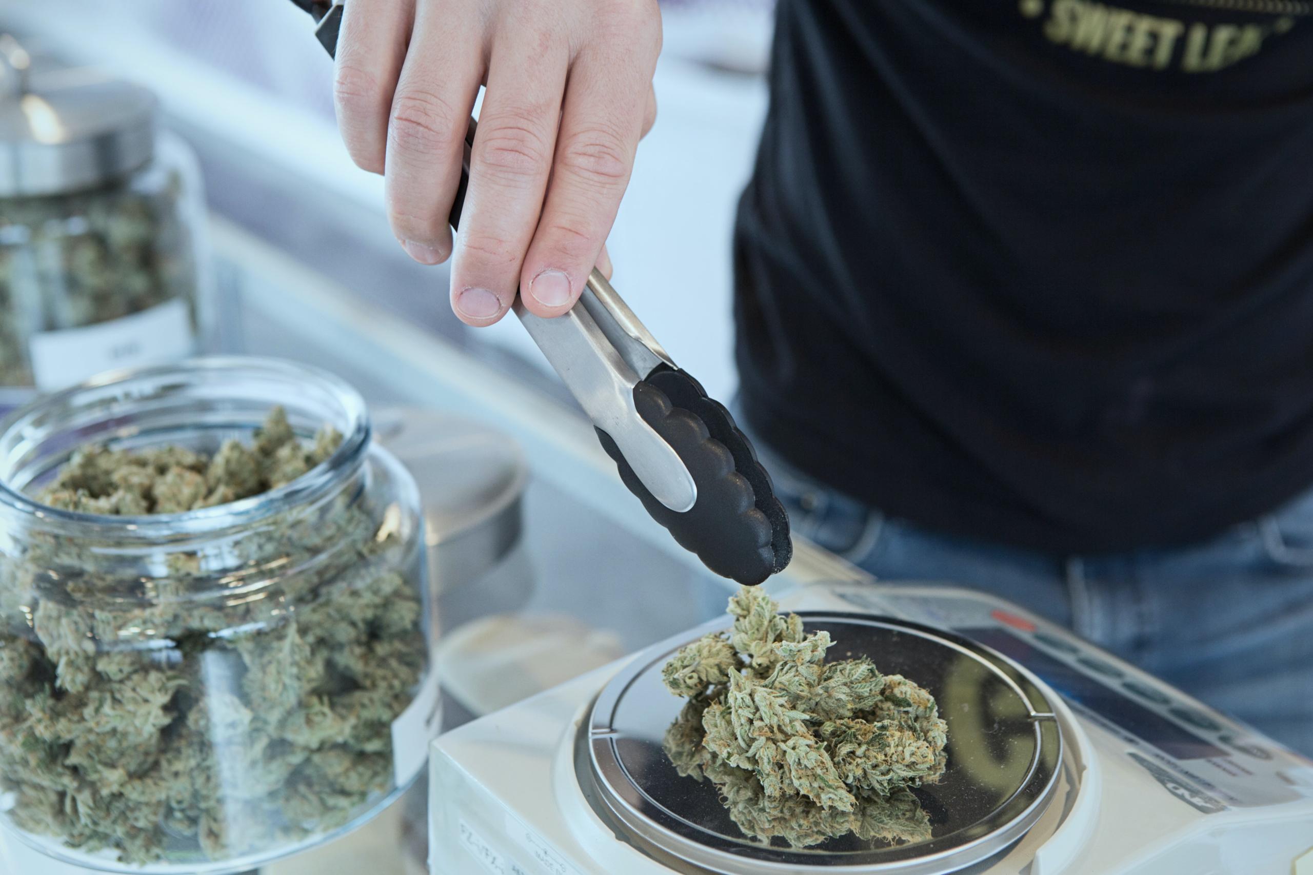 You are currently viewing Cannabis And The Future Of Hospitality