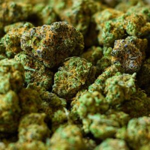 Buy Cinex Weed Strain