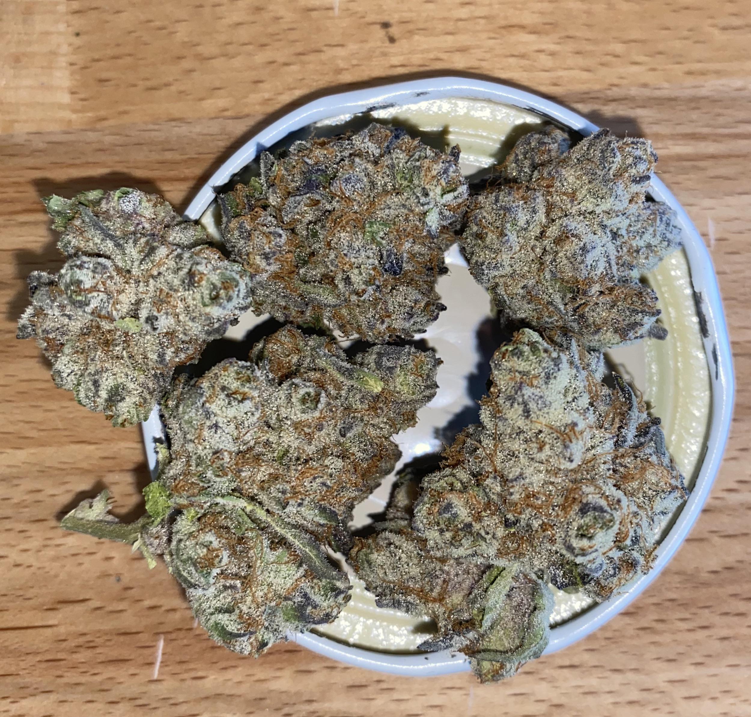 Buy Colorado Cream Soda Weed Strain