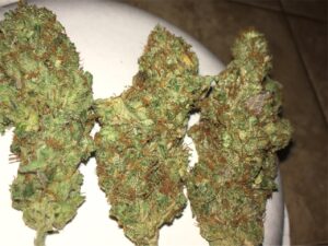 Buy Critical Kush Online