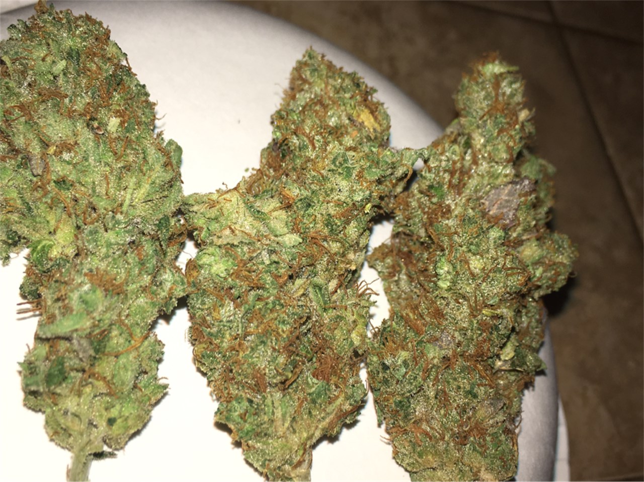 Buy Critical Kush Online