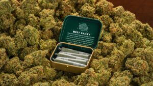 Buy Dogwalker OG Kush Strain