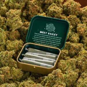 Buy Dogwalker OG Kush Strain