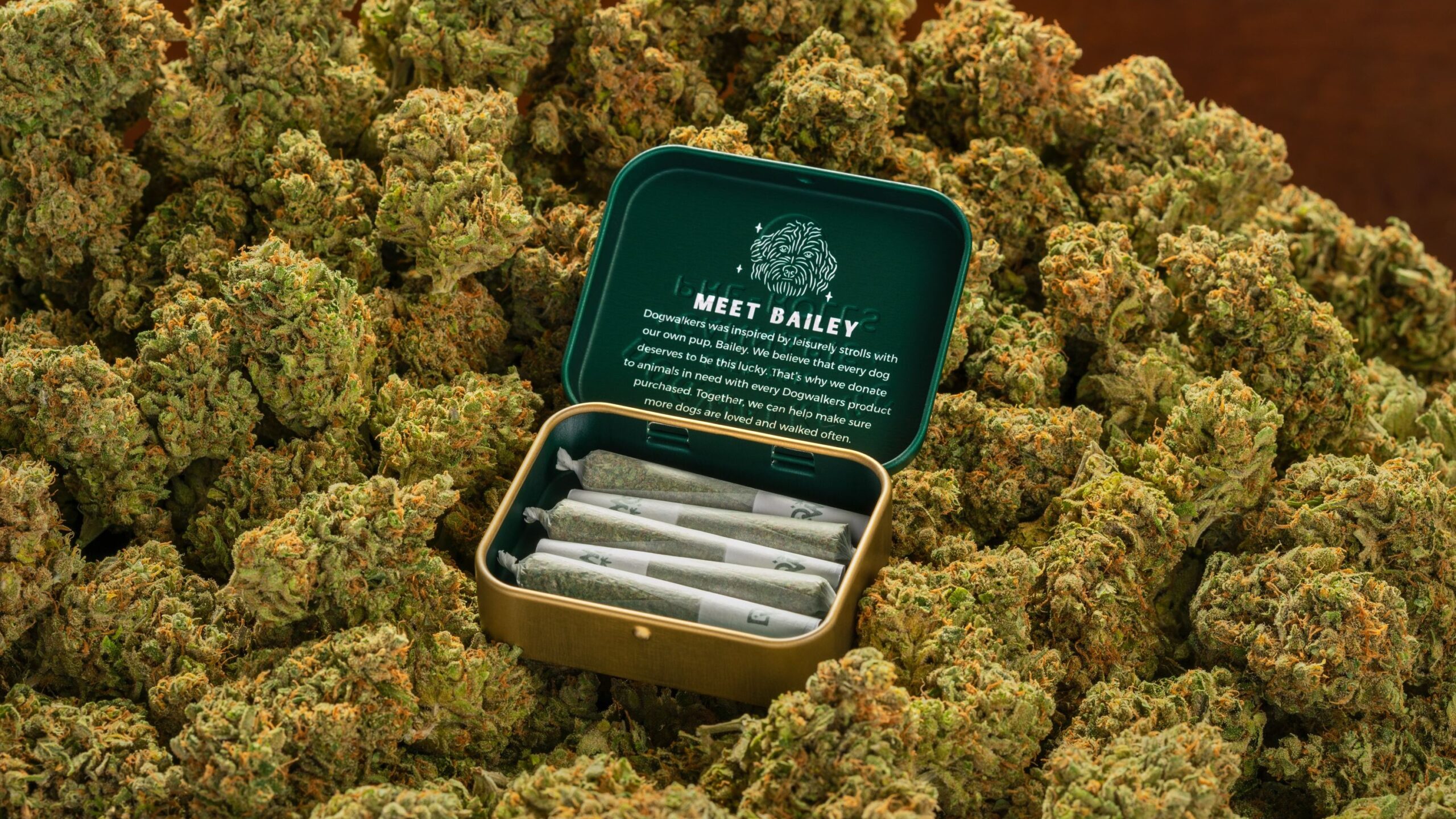 Buy Dogwalker OG Kush Strain