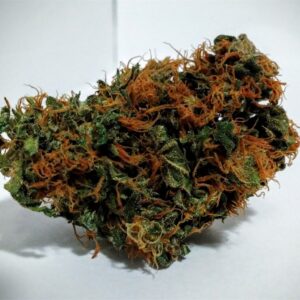 Buy Durban Poison Cannabis Online