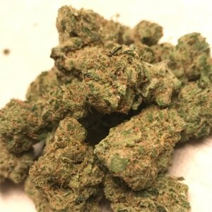 Buy Dutch Treat Weed Strain