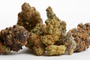 The Rise Of Exotic Cannabis Genetics