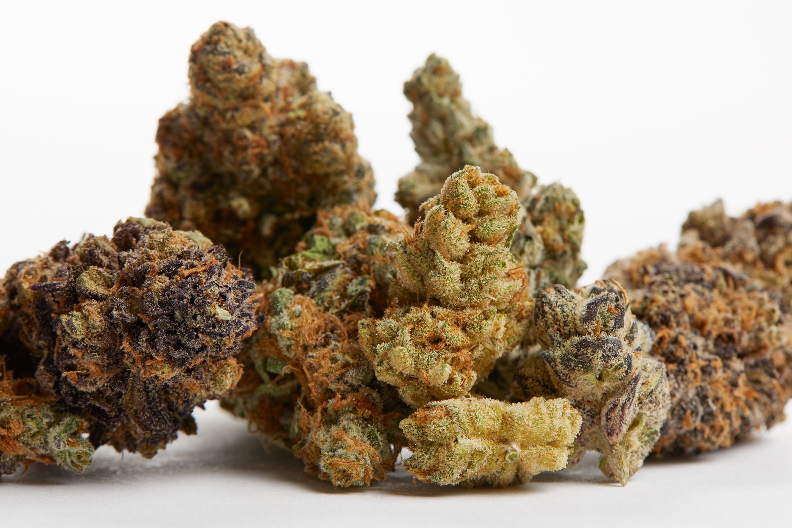 You are currently viewing The Rise Of Exotic Cannabis Genetics