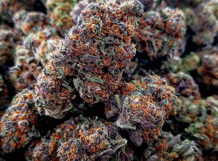 You are currently viewing Exotic Weed Strains Explained: Genetics, Terpenes, And Market Demand