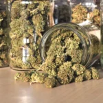 The Future Of Cannabis Wellness: Trends Shaping The Next Generation Of Products
