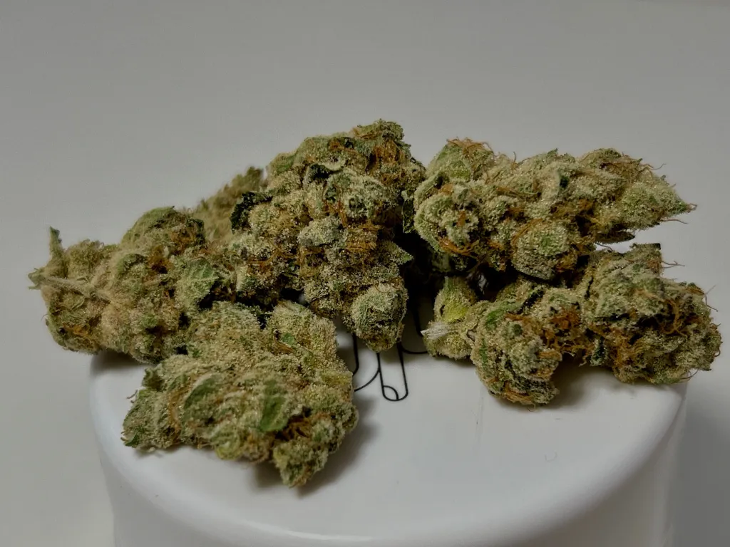 Buy Garlic Cocktail Weed Strain