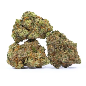 Buy Green Poison Cannabis Strain