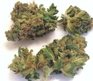 Buy Harle-Tsu Weed Strain