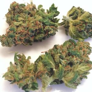 Buy Harle-Tsu Weed Strain