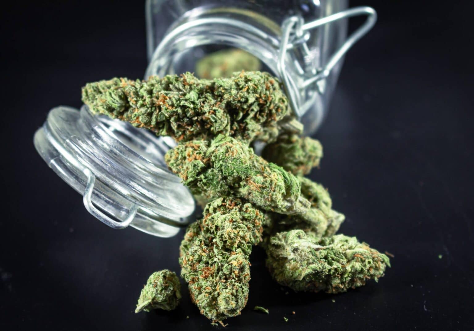 You are currently viewing How Cannabis Genetics Became One Of The Most Valuable Assets In The Industry