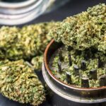 How Premium Cannabis Wellness Brands Earn Consumer Confidence