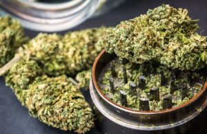 How Premium Cannabis Wellness Brands Earn Consumer Confidence