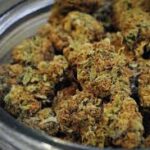 How THC Products Evolved From Traditional Flower To Advanced Consumer Goods