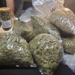 How The Creator Economy Is Transforming Cannabis Culture