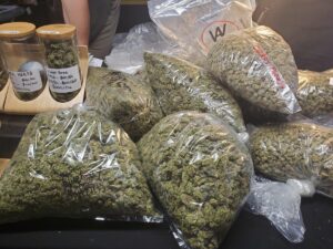 How The Creator Economy Is Transforming Cannabis Culture