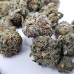 How To Read A Cannabis Strain Profile Like An Expert
