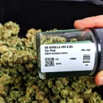 How To Read Cannabis Product Labels Like A Professional