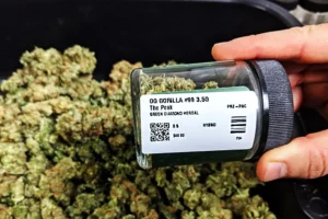 How To Read Cannabis Product Labels Like A Professional