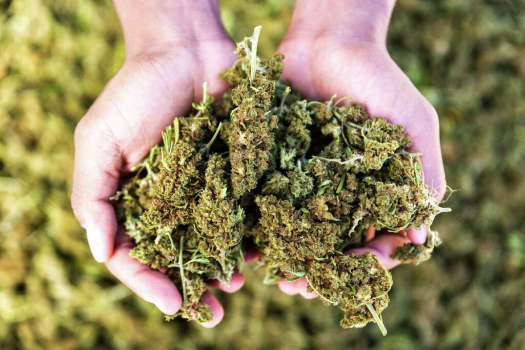 Innovation And The Next Generation Of THC Products