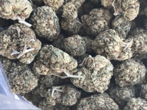King Louis XIII Strain Online