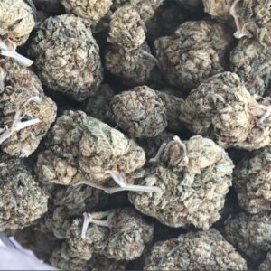 King Louis XIII Strain Online