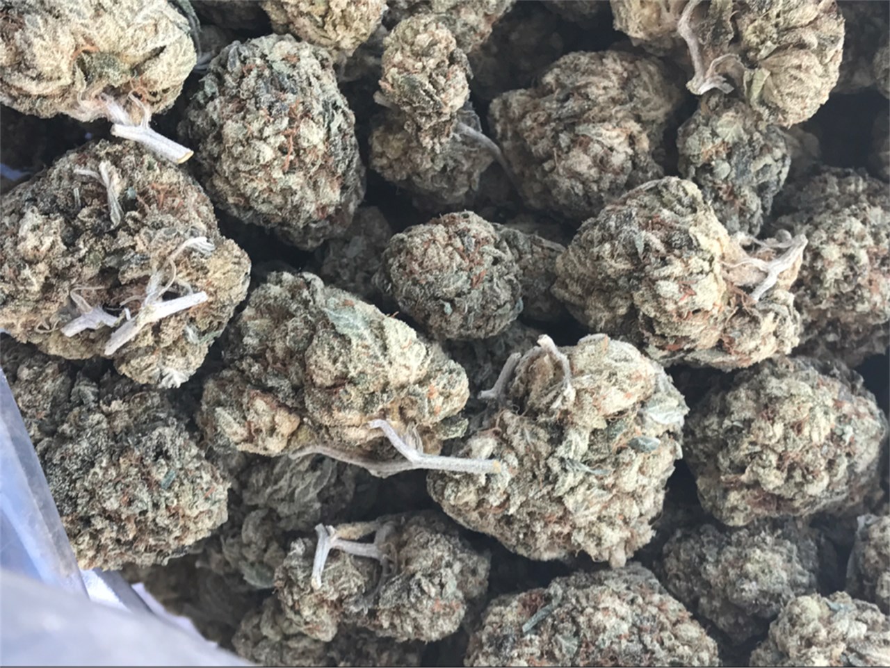 King Louis XIII Strain Online