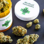 Medical Cannabis In Modern Healthcare: Understanding Its Growing Role In Patient Care