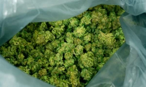 Medical marijuana
