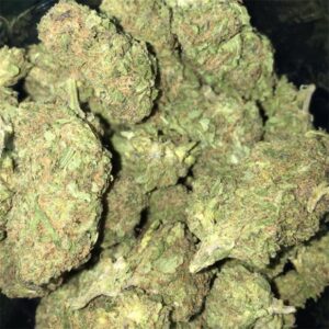 Buy Mr. Nice Guy Weed Strain