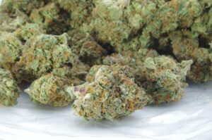Buy Neville’s Haze Strain Online