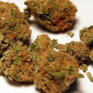 Buy Orange Kush Strain Online