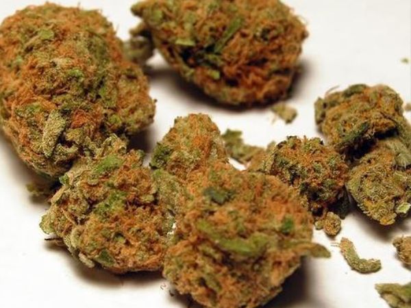 Buy Orange Kush Strain Online