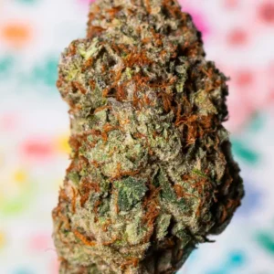 Buy Oreoz Weed Strain