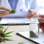 Plant Based Wellness And The Future Of Natural Consumer Products