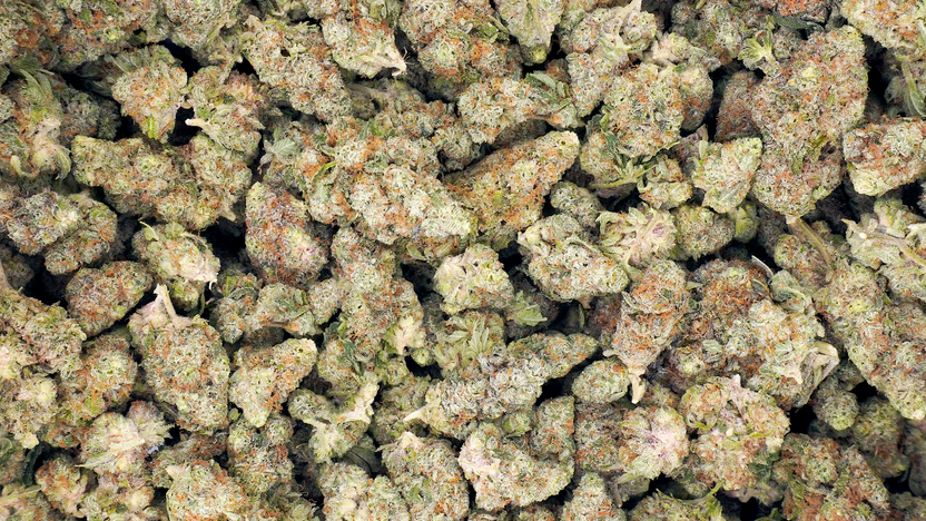 Premium Cannabis Flower