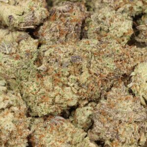 Buy Purple Kush Strain