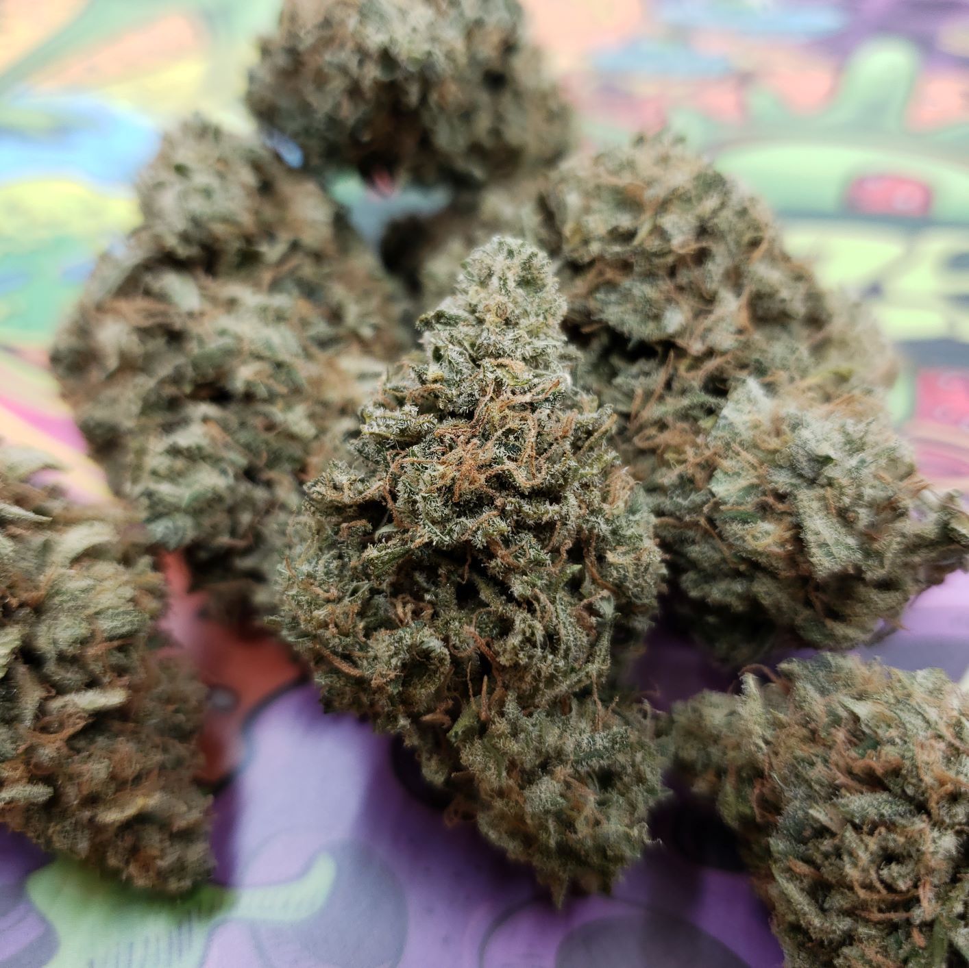 Buy Remedy Weed Strain
