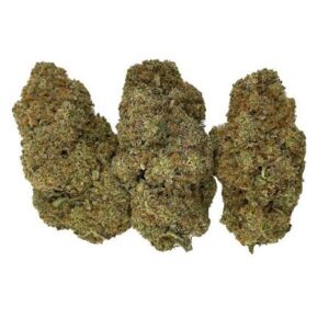 Buy Ringo’s Gift Weed Strain