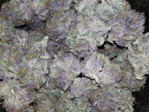 Buy Strawberry Fields Cannabis Online
