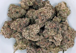 Read more about the article The Global Evolution Of Cannabis Genetics