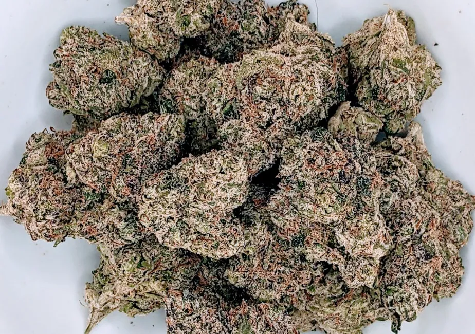 You are currently viewing The Global Evolution Of Cannabis Genetics