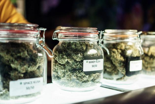 You are currently viewing The Rise Of Cannabis Social Clubs Around The World