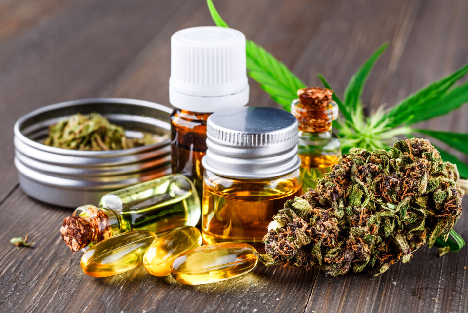 You are currently viewing The Rise Of Functional CBD Products In Modern Consumer Markets