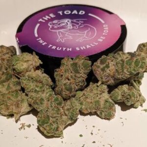 Buy The Toad Weed Strain